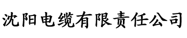 亚洲日韩精品欧美一区二区电缆厂logo